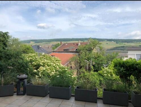 Foto - Etagenwohnung zur Miete in Münster-Sarmsheim