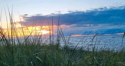 Foto - Ferienwohnung,Appartement an der Ostsee nahe Heiligenhafen