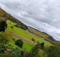 Wohnung mit schönem Ausblick - 690,00 EUR Kaltmiete, in Saarburg (PLZ: 54439)