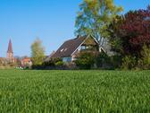 Foto - Ferienwohnung Fehmarn Feldrandlage Hunde erlaubt
