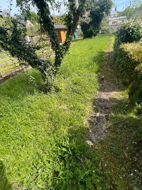 Foto - Garten an der Lahn in Steeden zu vermieten