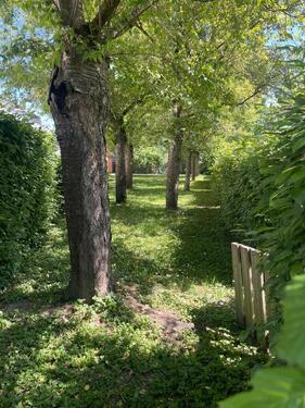 Foto - 4.5 Zimmer Reihenhaus in Singen (Hohentwiel)