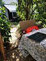 Foto - 2.5 Zimmer Terrassenwohnung zum Kaufen in Worms