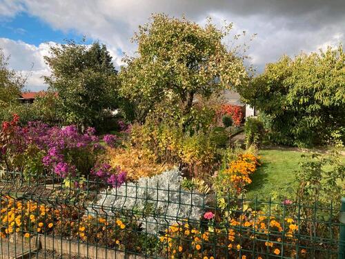 Foto - Grundst&uuml;ck zur Miete in Leipzig