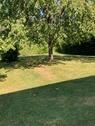 Foto - Einfamilienhaus zum Kaufen in Hargesheim