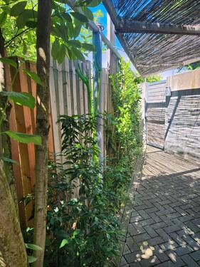 Foto - Einfamilienhaushälfte ab 1.3.2026 zu vermieten