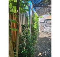 Einfamilienhaushälfte ab 1.3.2026 zu vermieten - Nieder-Olm