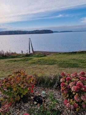 Foto - andere in Bergen auf Rügen zur Miete