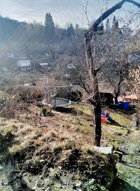 Foto - Kleingarten Garten - 199,00&nbsp;EUR Kaltmiete, ca.&nbsp; 0,00&nbsp;m&sup2;