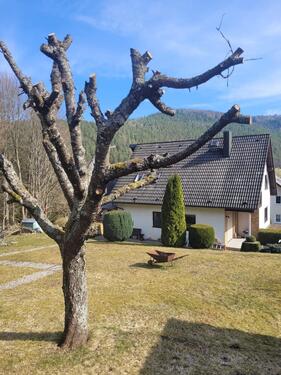Foto - Einfamilienhaus in Schwarzatal zum Kaufen