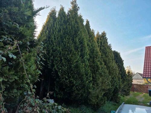 Foto - 6 Zimmer Einfamilienhaus in Südharz