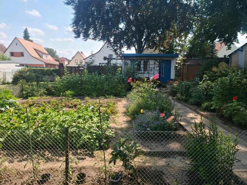 Foto - Grundst&uuml;ck zur Miete in Löbau