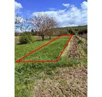 Gartengrundstück am Ortsrand zu verpachten – ca. 380 m² - Gau-Algesheim