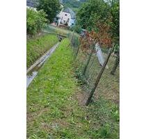 Garten in Wintrich zu verpachten - Piesport