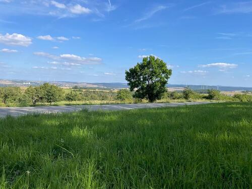 Foto - wiesengrundstück , freizeitgrundstück