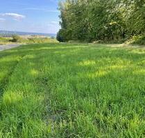 wiesengrundstück , freizeitgrundstück - Dannenfels