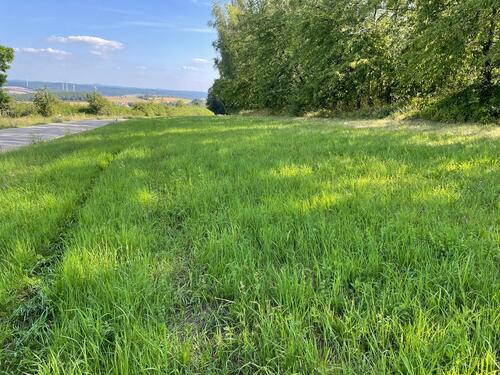 Foto - Grundst&uuml;ck in Dannenfels