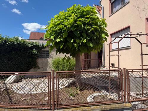 Foto - 7 Zimmer Einfamilienhaus in Schwanfeld