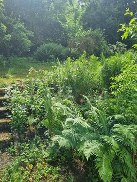 Foto - 4 Zimmer Einfamilienhaus zur Miete in Osnabrück