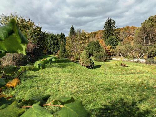 Foto - Grundst&uuml;ck in Wiesbaden zur Miete