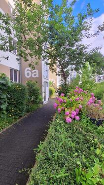 Foto - Penthouse Haus Wohnung in Bayenthal