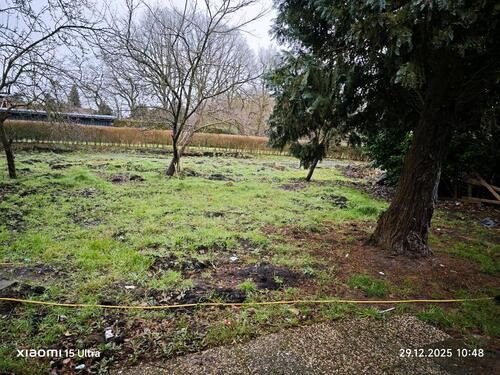 Foto - Doppelhaushälfte zu vermieten - 580,00&nbsp;EUR Kaltmiete, ca.&nbsp; 82,00&nbsp;m&sup2;