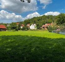 Einfamilienhaus mit viel Fläche, Nebengelass und Waldgrundstück - Bad Bibra