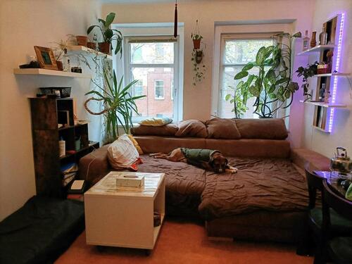 Foto - Etagenwohnung in Leipzig zur Miete