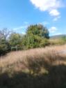 Foto - Pacht Garten, fast vergeben, mit Hütte verk.