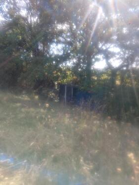 Foto - Grundst&uuml;ck in Obermoschel zur Miete