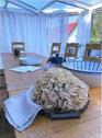 Foto - 5 Zimmer Doppelhaushälfte in Erfurt