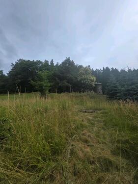 Foto - Grundstück in Erlenbach bei Dahn – Naturnah wohnen mit Burgblick