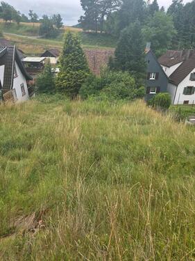 Foto - Einfamilienhaus in Herxheim bei Landau/Pfalz zum Kaufen