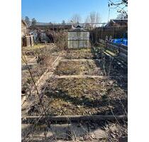 Kleingarten in Kleingartenverein zu verpachten - Pirna