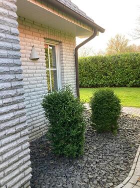 Foto - Einfamilienhaus in Wangerland zum Kaufen
