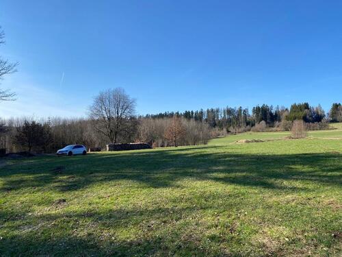 Foto - Grundstück Linden bei Freyung 8€qm Landwirtschaftliche Fläche
