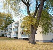 Renovierte Traumwohnung in ruhiger Lage von Schüren - Dortmund Aplerbeck