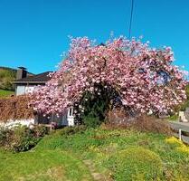Ferienwohnung in Hilchenbach- nah am Rothaarsteig