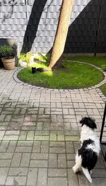 Foto - 2-Zimmer-Wohnung mit Garten zur Zwischenmiete