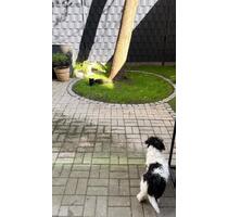 2-Zimmer-Wohnung mit Garten zur Zwischenmiete - Berlin Mitte