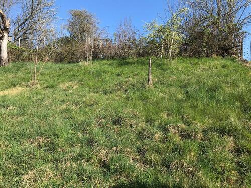 Foto - Grundst&uuml;ck in Wiesbaden zur Miete