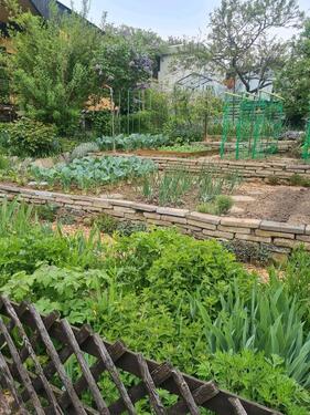 Foto - Kleingarten abzugeben. - 5.000,00&nbsp;EUR Kaltmiete, ca.&nbsp; 0,00&nbsp;m&sup2;