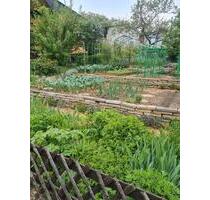 Kleingarten abzugeben. - 5.000,00&nbsp;EUR Kaltmiete, ca.&nbsp; 0,00&nbsp;m&sup2; in Dresden (PLZ: 01157) Cotta