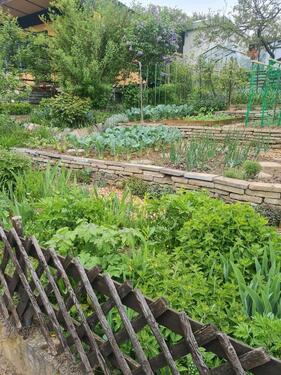 Foto - Grundst&uuml;ck zur Miete in Dresden