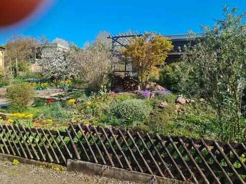 Foto - Grundst&uuml;ck in Dresden