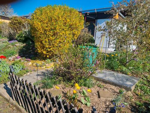 Foto - Grundst&uuml;ck in Dresden zur Miete