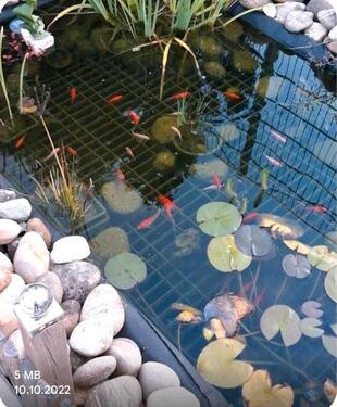 Foto - Wohnen wie im Urlaub DHH Zu verkaufen oder Haus Mieten