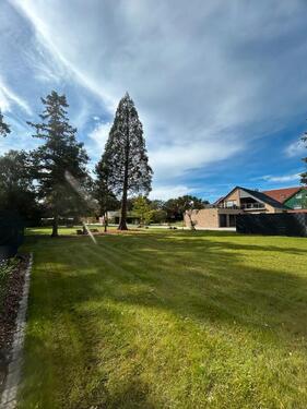 Foto - Etagenwohnung zur Miete in Neuenhaus