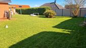 Foto - Einfamilienhaus zum Kaufen in Nübel