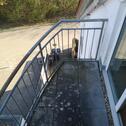 Foto - Maisonettenwohnung in Burgstetten zum Kaufen